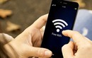 Tết Đinh Dậu 2017: Những địa điểm nào phủ sóng wifi miễn phí