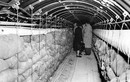 Đường hầm Berlin: Âm mưu tình báo táo bạo của CIA