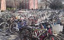 “Nghĩa địa xe đạp” ở Trung Quốc