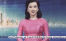 Chuyện chưa kể về nữ MC vừa gia nhập Thời sự 19h của VTV