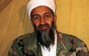 Đột nhập nhà họ hàng Bin Laden, băng cướp ra về..tay không