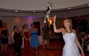 Cô dâu “tung hoa hóa ra mèo” trong ngày cưới