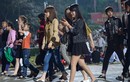 Lễ hội Đền Hùng 2017: Thiếu nữ tung tăng váy ngắn 