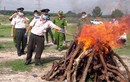 Tiêu hủy ma túy "khủng" trong chuyên án lớn nhất Bình Dương