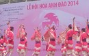 Múa Nhật đặc sắc trong Lễ hội hoa anh đào 2014