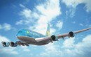 Đấu thầu đường bay: Vietnam Airlines “tịt ngòi” độc quyền