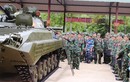 Cán bộ TTG Việt Nam học tập về xe thiết giáp BMP-2