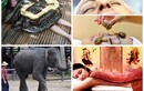 10 kiểu massage độc nhất vô nhị trên thế giới