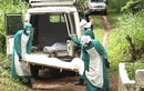 Hình ảnh khủng khiếp về đại dịch Ebola trên toàn thế giới