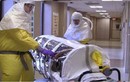 Người Mỹ đang lo sợ thái quá với Ebola?