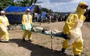 Những con số mới nhất về Ebola