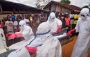 Hàng loạt bác sĩ tử vong vì nhiễm Ebola