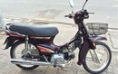 Honda Dream 2 lăn bánh 99km tại Sài Gòn giá cả trăm triệu