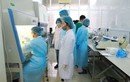Ngoài thương vụ máy XN COVID-19, Cty Y tế Việt trúng bao nhiêu gói thầu ở Quảng Ninh?