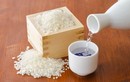 Thử nghiệm trồng gạo Nhật tại Việt Nam để sản xuất rượu sake