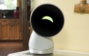 JIBO: Chú robot thông minh biết trò chuyện, dạy học