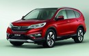 Honda nâng cấp hệ thống kiểm soát hành trình