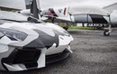 Siêu xe Lamborghini Aventador đua với chiến đấu cơ Albatross: Ai thắng?