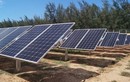 Dấu hiệu vi phạm sử dụng đất, nhiều dự án điện mặt trời ở Khánh Hòa bị “soi”