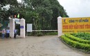Gây ô nhiễm, Công ty Tinh bột sắn Phú Yên bị xử phạt