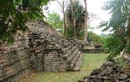 Các nhà nghiên cứu phát hiện nguyên nhân xóa sổ nền văn minh Maya