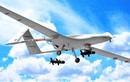 Bộ trưởng Quốc phòng Ukraine ra lệnh tấn công Donbass bằng UAV TB2