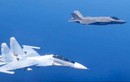 Phi công F-35 Italia... xin thôi việc sau chạm trán với Su-30 Nga