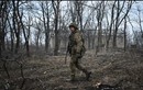 Quân Ukraine vứt bỏ công sự, rút lui ồ ạt ở phía tây Avdiivka 