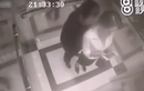 Video: Bị sàm sỡ trong thang máy, người phụ nữ có hành động gây choáng váng