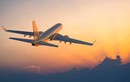 Dừng cấp phép lập hãng hàng không mới tới năm 2022