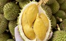 Sầu riêng mini chiếm sóng thị trường hoa quả Việt