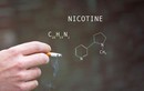 Nicotine trong thuốc lá có tác hại làm giảm khả năng học tập