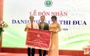 Hội Dược học Việt Nam nhận Cờ thi đua xuất sắc 