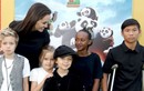 Angelina Jolie từng không có ý định làm mẹ