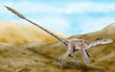 Sự thật tàn khốc về khủng long Velociraptor 