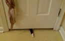 Chết cười xem mèo tò mò cố nhìn trộm toilet 
