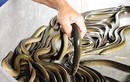 Khám phá cực thú vị về con lươn đặc sản Việt Nam