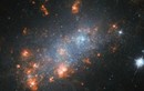 Bất ngờ khám phá mới thiên hà lùn cô đơn NGC 1156