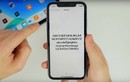 Mẹo cực đơn giản để cài font chữ iPhone mới trên iOS 13