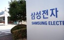 Samsung, LG và các hãng điện thoại Hàn Quốc liêu xiêu thế nào trong dịch SARS-CoV-2