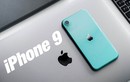 iPhone 9 hủy ra mắt vì Covid-19: BPhone, Huawei... tính thế nào?  