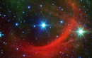 Hành vi gây sốc của một ngôi sao “siêu tốc độ”