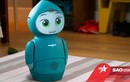 Robot “cute lạc lối” Moxie có khả năng làm bạn với trẻ em