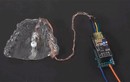 Cận cảnh “chuột” máy tính bằng lưỡi đầu tiên trên thế giới