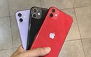 iPhone chính hãng, xách tay đua nhau giảm giá trước ngày iPhone 12 ra mắt