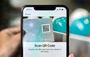 Nâng cấp iOS 14.4,  mọi mã QR đều bị quét qua camera “thần thánh”