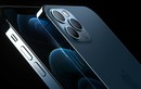 Top iPhone được ưa thích nhất: iPhone 7 Plus "đi vào dĩ vãng"