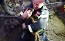 Thót tim khoảnh khắc hai chú chó được giải cứu khỏi hang cáo