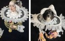 Cười ngất 300 bức tranh cổ điển do cún cưng tạo hình 