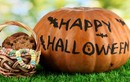 7 lưu ý giúp trẻ an toàn khi chơi Halloween 